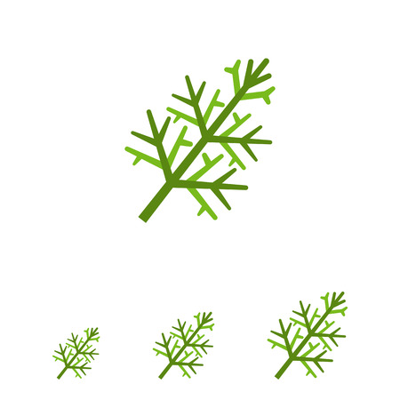 Multicolored vector icon of fresh green dillのイラスト素材