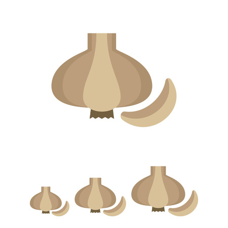 Multicolored vector icon of whole fresh garlic bulb and cloveのイラスト素材