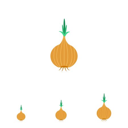 Vector icon of whole fresh onion bulb with green sproutsのイラスト素材