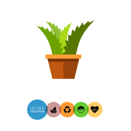 Multicolored vector icon of flower in potのイラスト素材