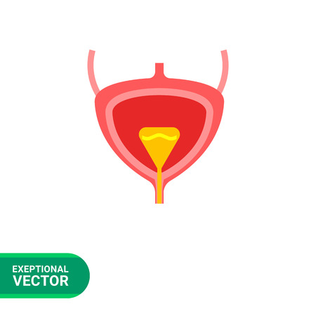 Bladder icon. Multicolored vector illustration of bladder, organ of urinary systemのイラスト素材