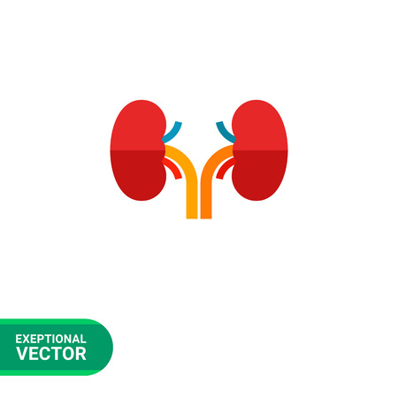 Multicolored vector icon of kidneys, human internal organsのイラスト素材