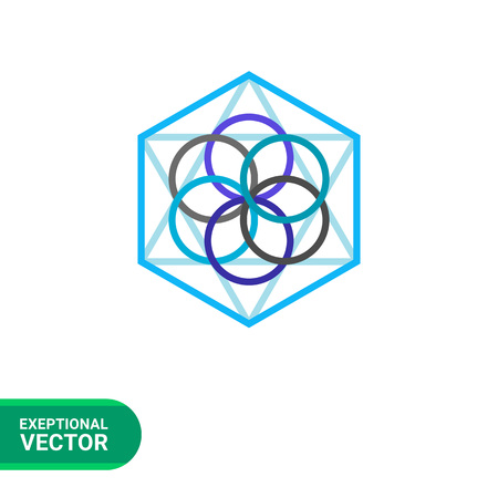 Multicolored vector icon of abstract geometric circle and polygon elements representing philosophyのイラスト素材