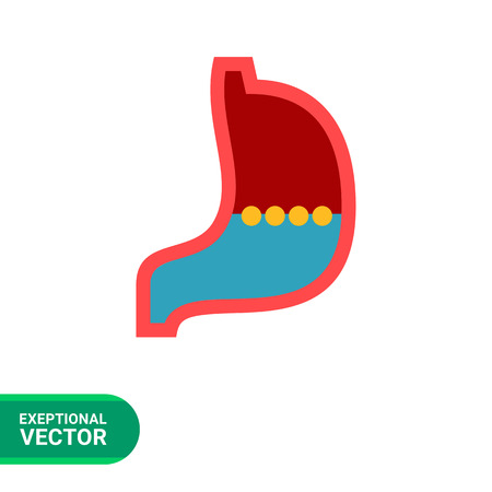 Multicolored vector icon of stomach, internal organ of digestive systemのイラスト素材