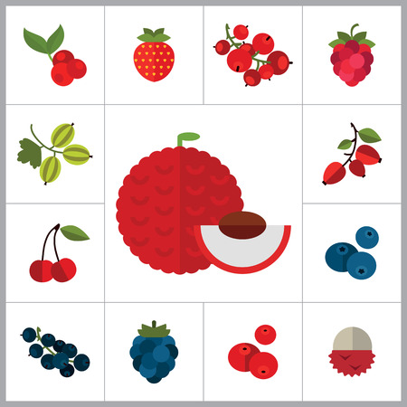 Berry Icon Set. Cranberry Black Currant Blackberry Blueberry Dogrose Gooseberry Red Currant Raspberry Strawberry Cowberry Cherryのイラスト素材