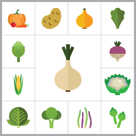 Green food icons set with broccoli, cauliflower and corn cob. Thirteen vector iconsのイラスト素材