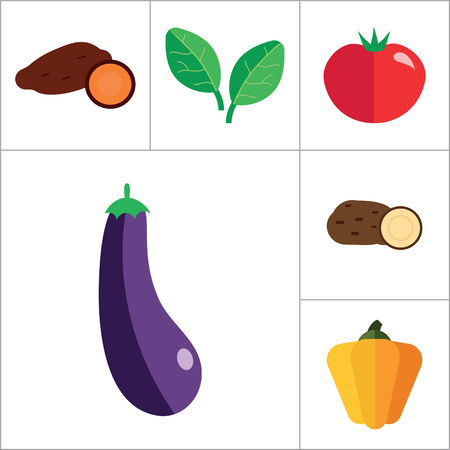 Vegetables icons set with tomato, eggplant and radish. Thirteen vector iconsのイラスト素材