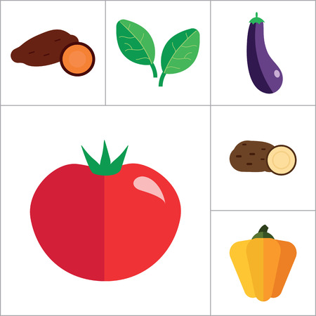 Vegetables icons set with tomato, eggplant and radish. Thirteen vector iconsのイラスト素材