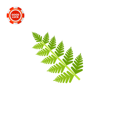 Fern leaf. Summer, fresh, forest. Leaf concept. Can be used for topics like botany, biology, environment.のイラスト素材