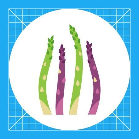 Vector icon of fresh green asparagus stemsのイラスト素材
