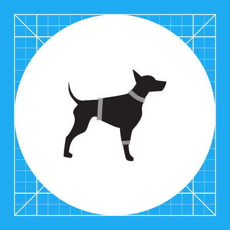 Doberman wearing sweater. Breed, dog, friend. Pet concept. Can be used for topics like zoology, clothes, marketing.のイラスト素材