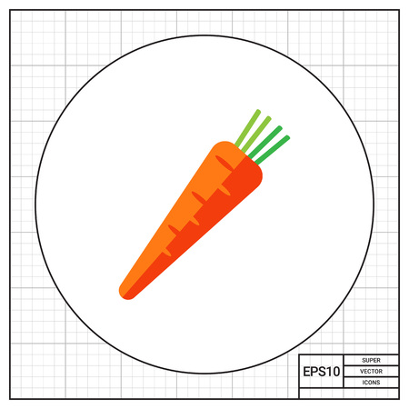 Multicolored vector icon of fresh orange carrotのイラスト素材