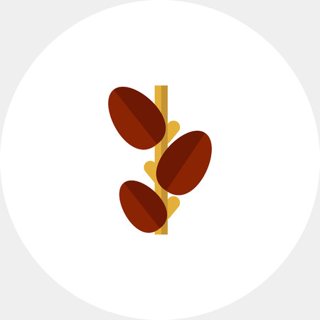 Growing coffee beans iconのイラスト素材