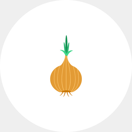 Onion bulb iconの写真素材
