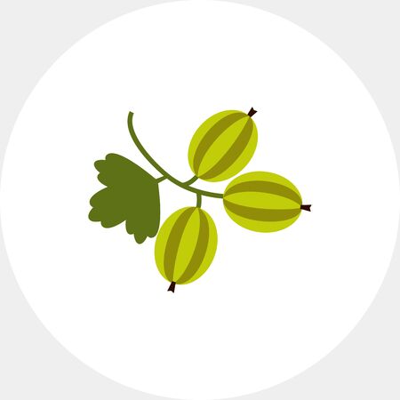 Ripe gooseberry iconのイラスト素材