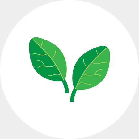Vector icon of two green spinach leavesのイラスト素材