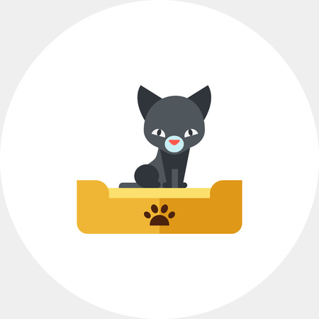 Multicolored flat icon of dark kitten in litter boxのイラスト素材