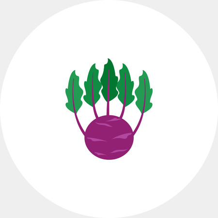 Vector icon of kohlrabi with green leavesのイラスト素材