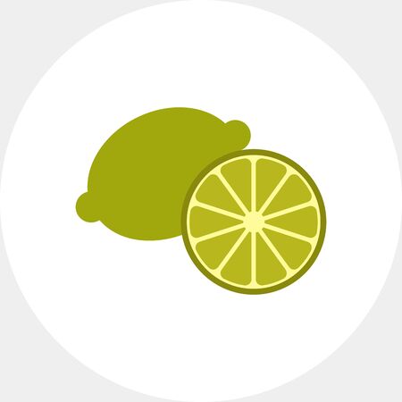 Vector icon of whole green lime and cut halfの写真素材