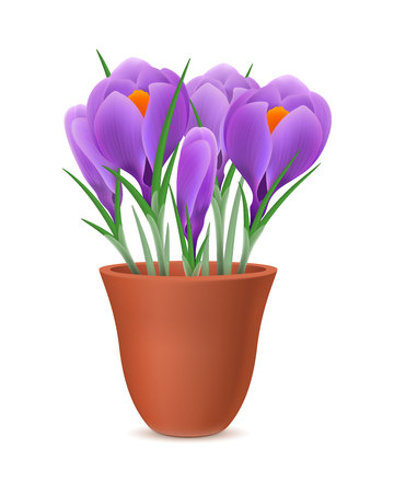 Beautiful flowers in pot. Violet viola, potted plant, gardening. Flora concept. Can be used for greeting cards, posters, leaflets and brochureのイラスト素材