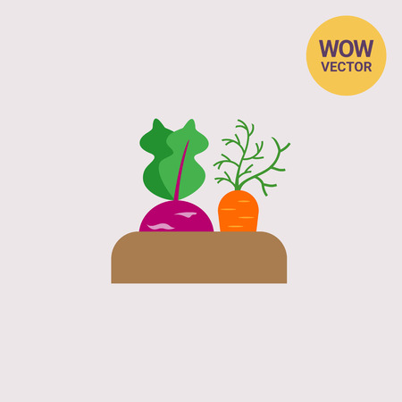 Growing kohlrabi and carrotのイラスト素材