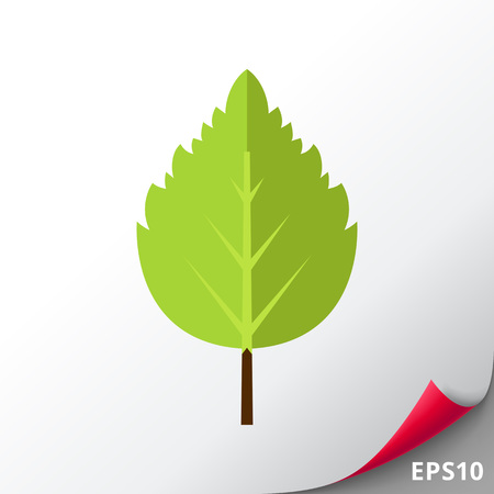 Birch Leaf Iconのイラスト素材