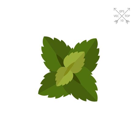 Mint leaves iconのイラスト素材