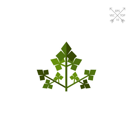Parsley Flat Iconのイラスト素材