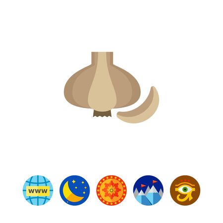 Multicolored vector icon of whole fresh garlic bulb and cloveのイラスト素材
