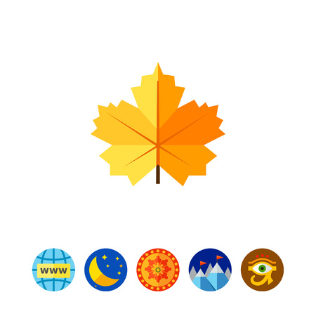 Multicolored vector icon of maple yellow leafのイラスト素材