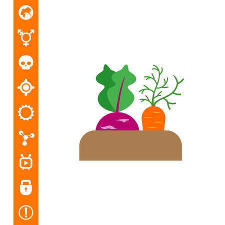 Vector icon of growing kohlrabi and carrot in soilのイラスト素材