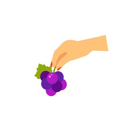 Hand holding grape branch iconのイラスト素材