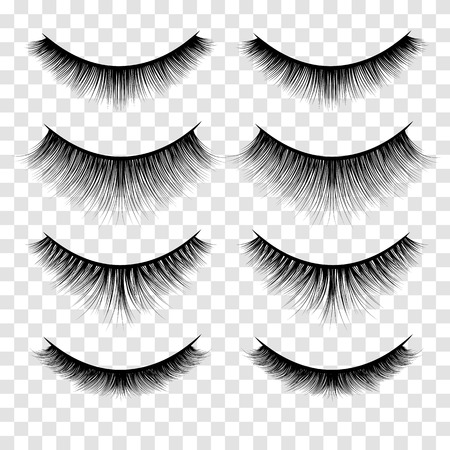 Set of Lashes Illustrationのイラスト素材