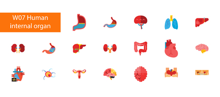 Internal organs icon set vector illustrationのイラスト素材