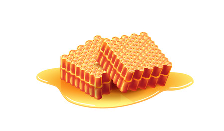 Two fresh sweet honeycombs. Apiary, dessert, ingredient. Beehive concept.のイラスト素材