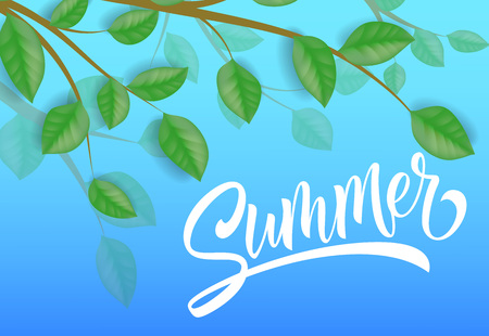Summer seasonal banner design with tree branches and leaves on sky blue background. Typed and calligraphic text can be used for greeting cards, postcards, flyers, signs, posters.のイラスト素材