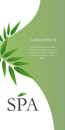 Spa lettering on creative background with leaves. Realistic green twigs on vertical leaflet. Illustration with lettering can be used for invitations, posters and flyersのイラスト素材
