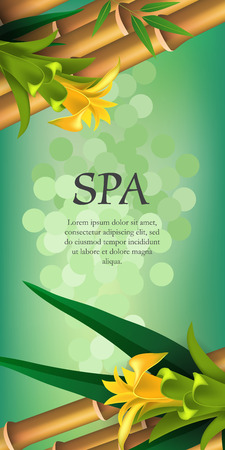 Spa lettering, yellow flowers and bamboo. Spa salon advertising poster design. Typed text, calligraphy. For leaflets, flyers, brochures, posters or banners.のイラスト素材