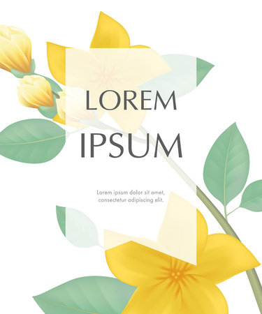 Greeting card template design with yellow flowers on white background with transparent frame. Wedding, Valentine Day, spring sale. Event concept. Can be used for invitation, flyer, brochureのイラスト素材