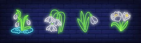 Snowdrops neon sign set. Snow, flower, plant. Vector illustration in neon style, bright banner for topics like march, spring, botanyのイラスト素材