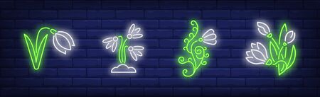 Snowdrop flowers neon sign set. Flora, wild plants, nature. Vector illustration in neon style, bright banner for topics like march, spring, botanyのイラスト素材