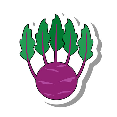 Beet with green leaves sticker. Ripe healthy vegetable. Seasonal harvest of edible plants concept. Flat paper sticker isolated on white backgroundのイラスト素材