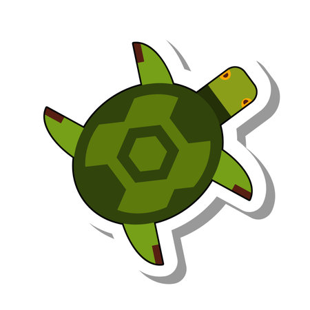 Top view of sea green turtle flat paper sticker. Small marine creature or inhabitant of sea depths and oceans isolated on white background. Nature, aquarium, animals and fish conceptのイラスト素材