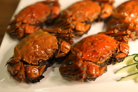 Crabs in the plateの写真素材
