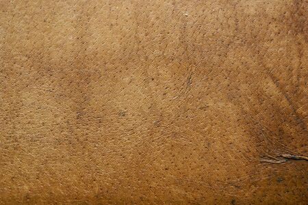 leather texture backgroundの写真素材
