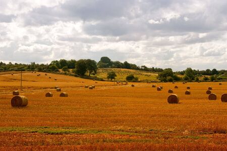 hay bale fieldの写真素材