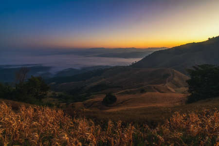 Scenic foggy mountains above cloudy sky in early morning light backgroundの写真素材