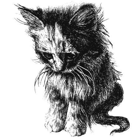 illustration of a cute little cat on a white background.のイラスト素材