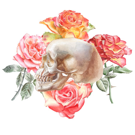 Illustration with skull and roses. Watercolor. Vector. Hand drawn.のイラスト素材