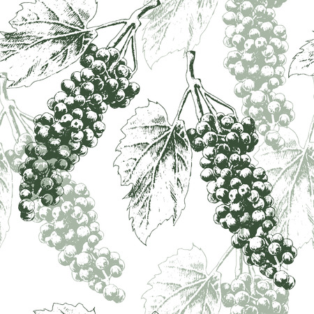 Seamless pattern with grapes. Vector. Hand drawn.のイラスト素材